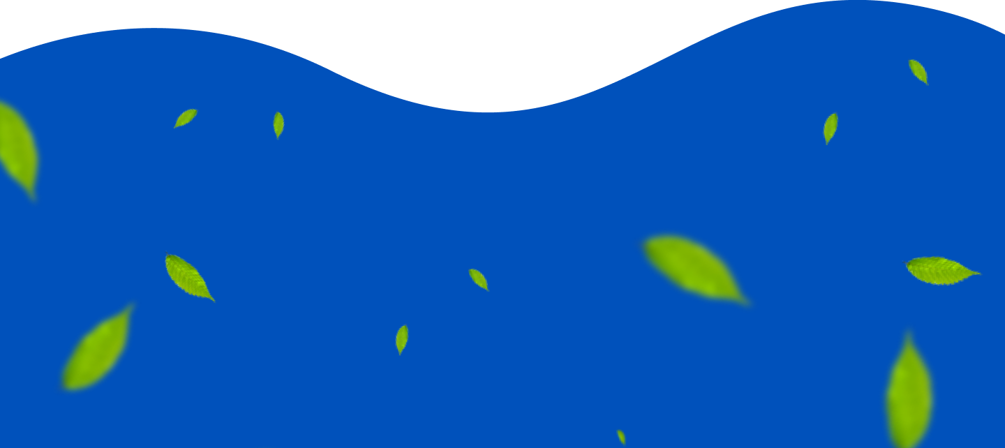 Footer Background